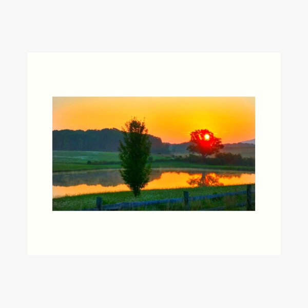 Pond Sunrise Art Print