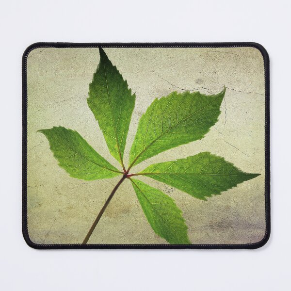 Item preview, The Leaf designed and sold by cmphotographs.