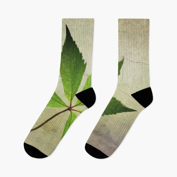Item preview, The Leaf designed and sold by cmphotographs.