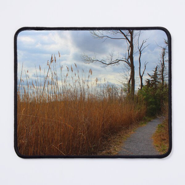 Item preview, Nature Walk designed and sold by Linda Sannuti.