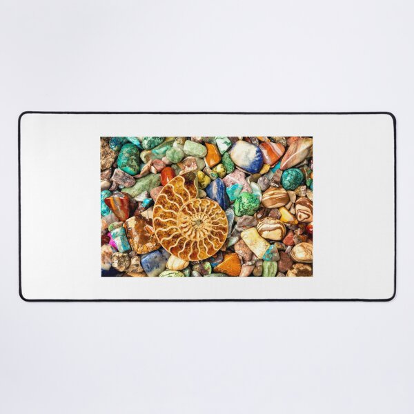Item preview, Fossilized Nautilus Shell On Polished Stones designed and sold by Garry Gay.