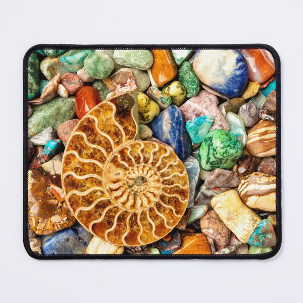 Item preview, Fossilized Nautilus Shell On Polished Stones designed and sold by Garry Gay.