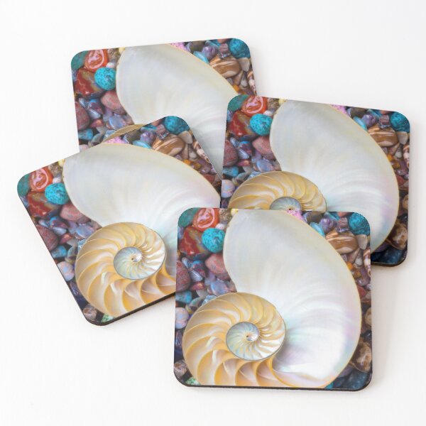 Item preview, Nautilus Shell On Colorful Stones designed and sold by Garry Gay.