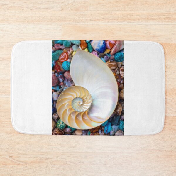 Item preview, Nautilus Shell On Colorful Stones designed and sold by Garry Gay.