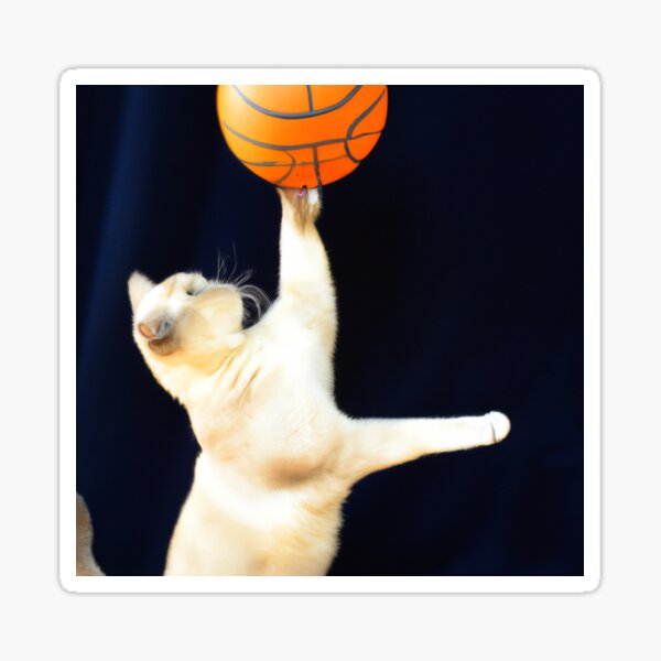 Regalos y productos: Gato Jugando Baloncesto | Redbubble