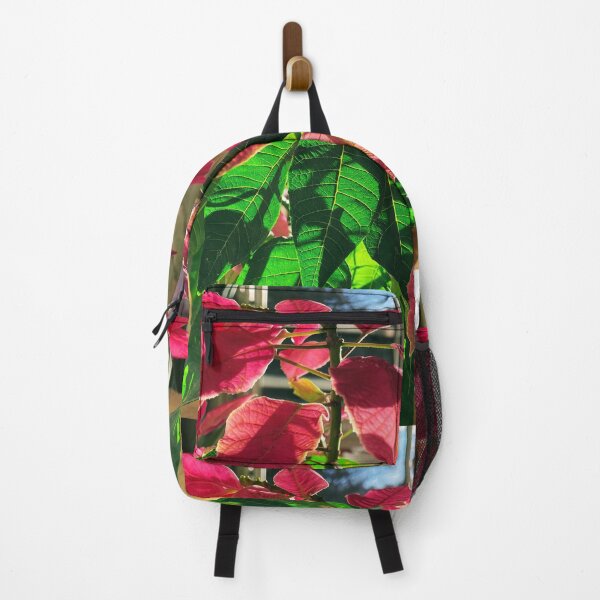 Item preview, Morning Poinsettia in January (1), 2023 designed and sold by Ula Shibazaki.