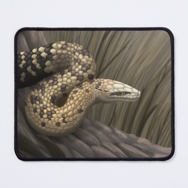 Item preview, Jamaican Boa designed and sold by DragonArtist15.