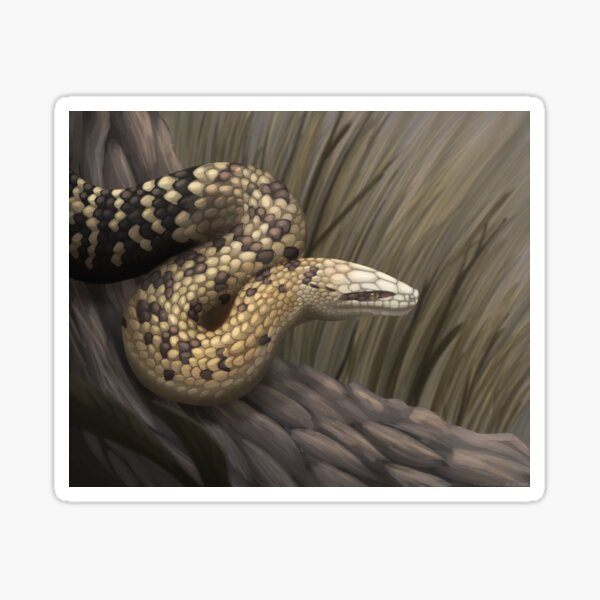 Item preview, Jamaican Boa designed and sold by DragonArtist15.