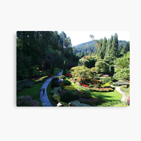 The Walk Canvas Print