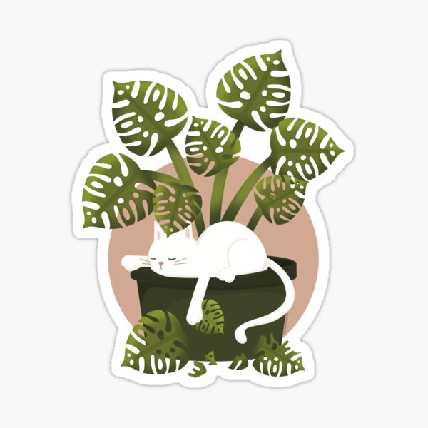 Cat Nap In Monstera Plant Minimalist Boho Aesthetic Sticker