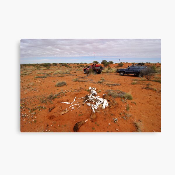 Hay Valley Canvas Print