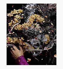 harry styles water Photographic Print