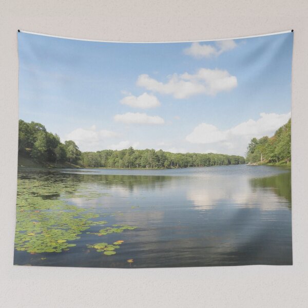 Item preview, Big Salmon, Lake, Frontenac, Provincial, Park No.1 designed and sold by MaryLinH.