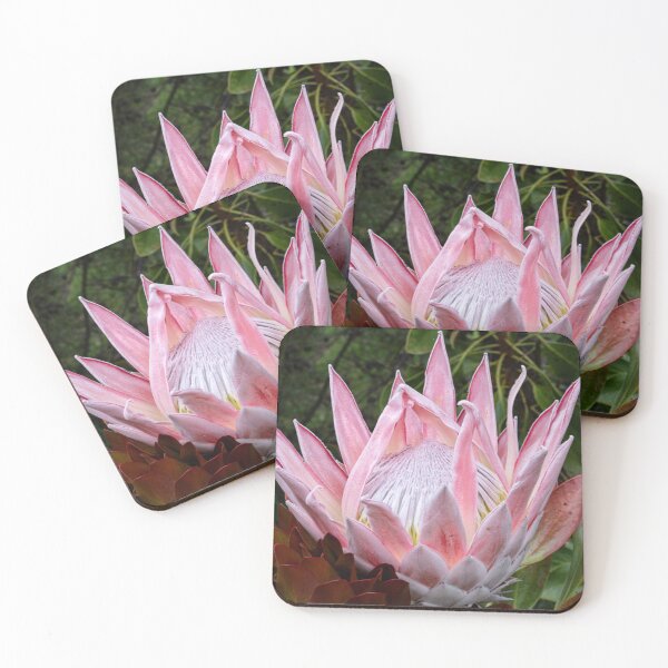 Item preview, King Protea  #3- Blackheath NSW designed and sold by Salieri1627.