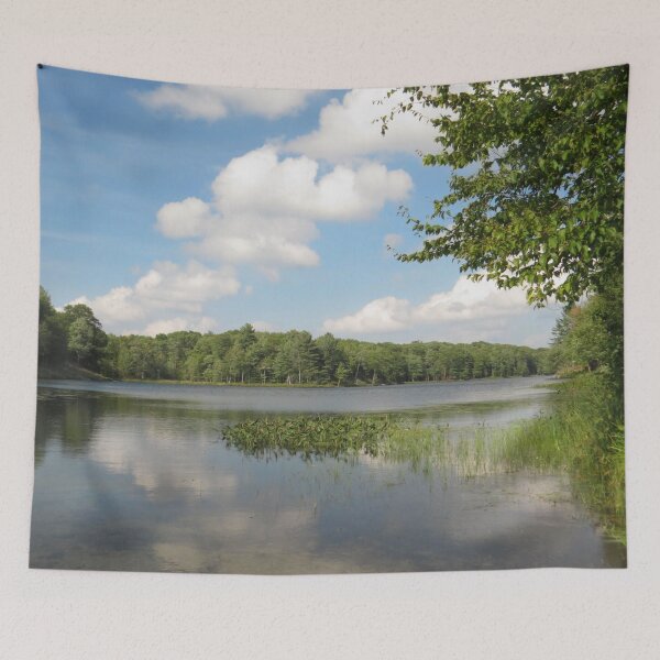 Item preview, Big Salmon, Lake, Frontenac, Provincial, Park No.3 designed and sold by MaryLinH.