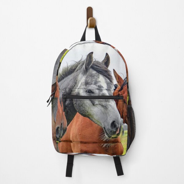 Item preview, Three horses, a grey between two bays, standing in a field. designed and sold by claireseyeview.