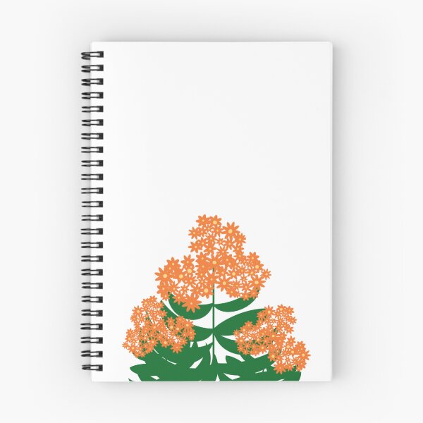 Item preview, Butterfly milkweed - Ontario native plant designed and sold by ebcameron.