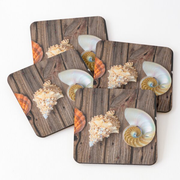 Item preview, Four Lovely Shells And White Starfish designed and sold by Garry Gay.