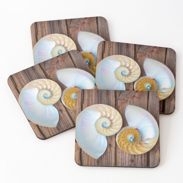 Item preview, Four Chambered Nautilus Seashells designed and sold by Garry Gay.
