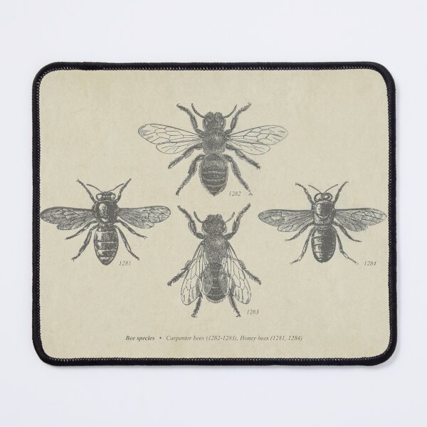 Item preview, Vintage Bee Illustration designed and sold by vintage-pete.