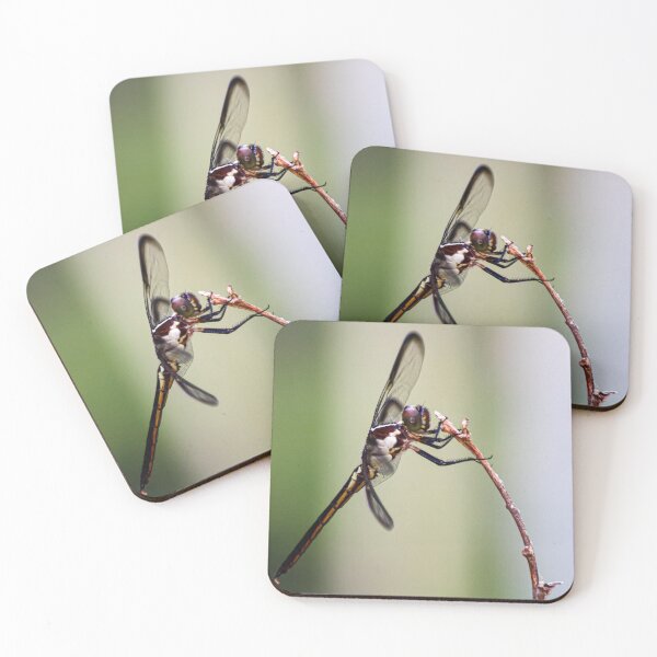 Item preview, Hanging Dragonfly designed and sold by Audslv76.