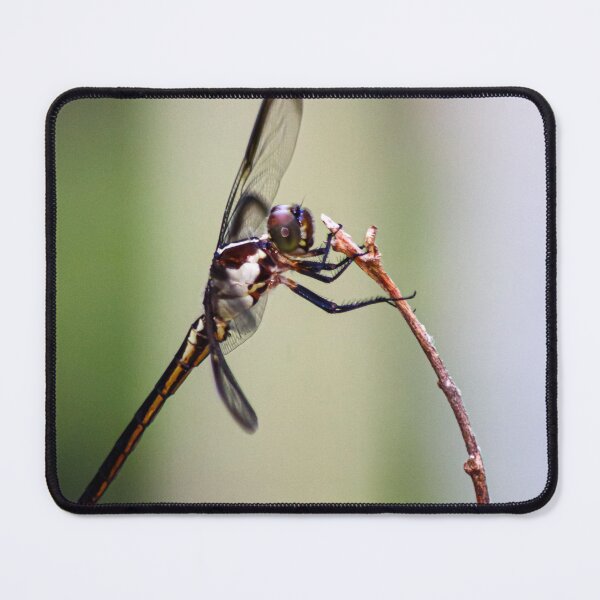 Item preview, Hanging Dragonfly designed and sold by Audslv76.