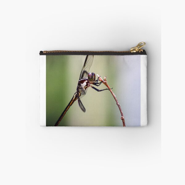 Item preview, Hanging Dragonfly designed and sold by Audslv76.