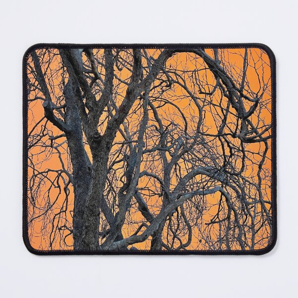 Item preview, Tree ©David M Ball designed and sold by davidmball.