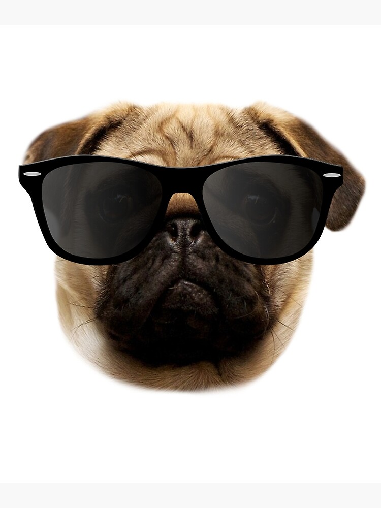 Cool Pug - Funny Pug Gift for Men Women & Kids Poster for Sale by Curtis  Cline