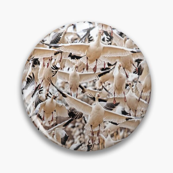 Item preview, Snow geese in flight, Bosque del Apache National Wildlife Refuge, New Mexico, USA designed and sold by Rocky Mountain Artistry.