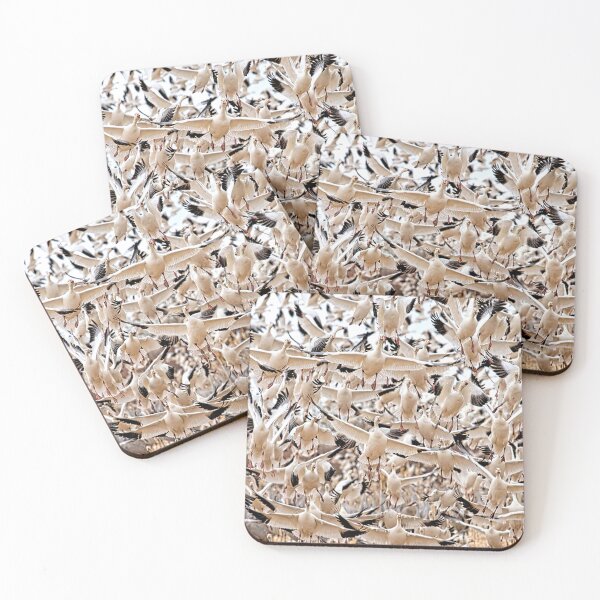 Item preview, Snow geese in flight, Bosque del Apache National Wildlife Refuge, New Mexico, USA designed and sold by Rocky Mountain Artistry.