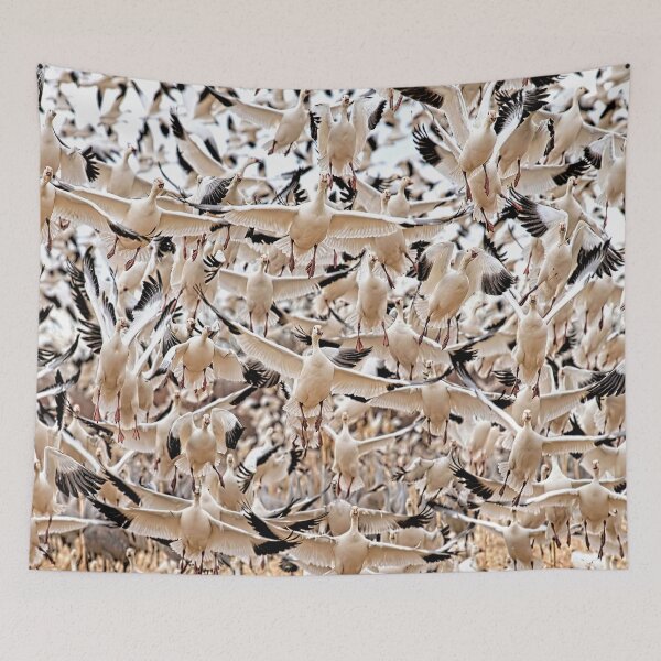 Item preview, Snow geese in flight, Bosque del Apache National Wildlife Refuge, New Mexico, USA designed and sold by Rocky Mountain Artistry.