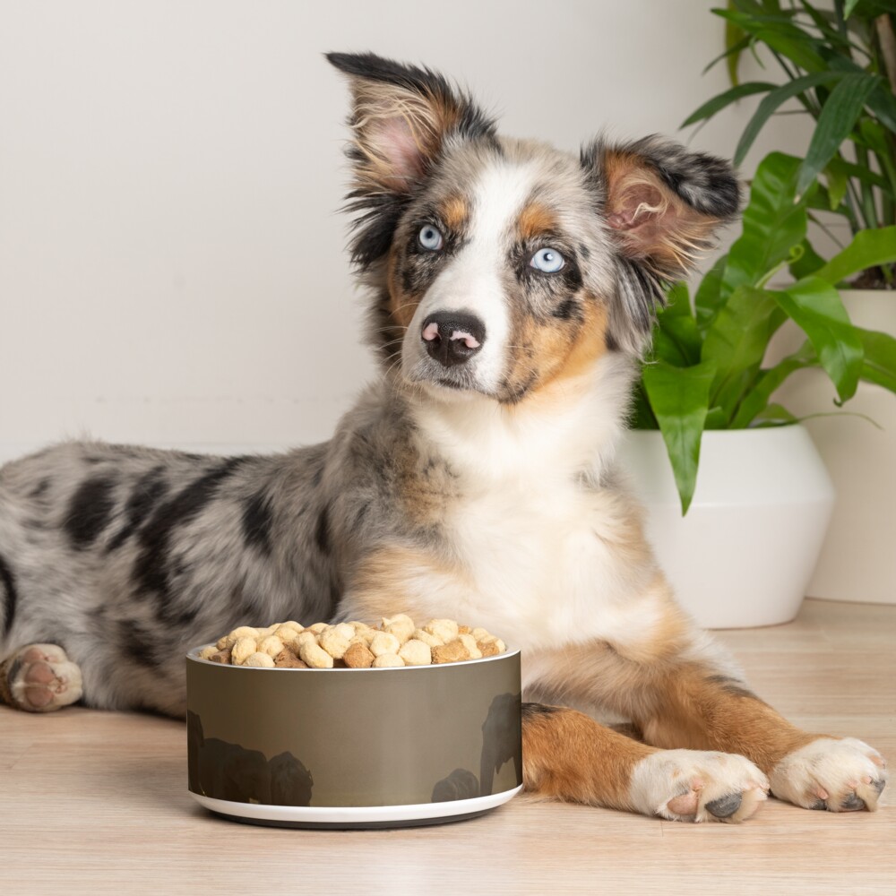 Item preview, Pet Bowl designed and sold by rshankar8080.