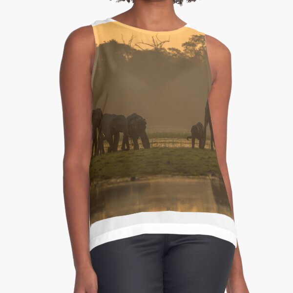 Sleeveless Top