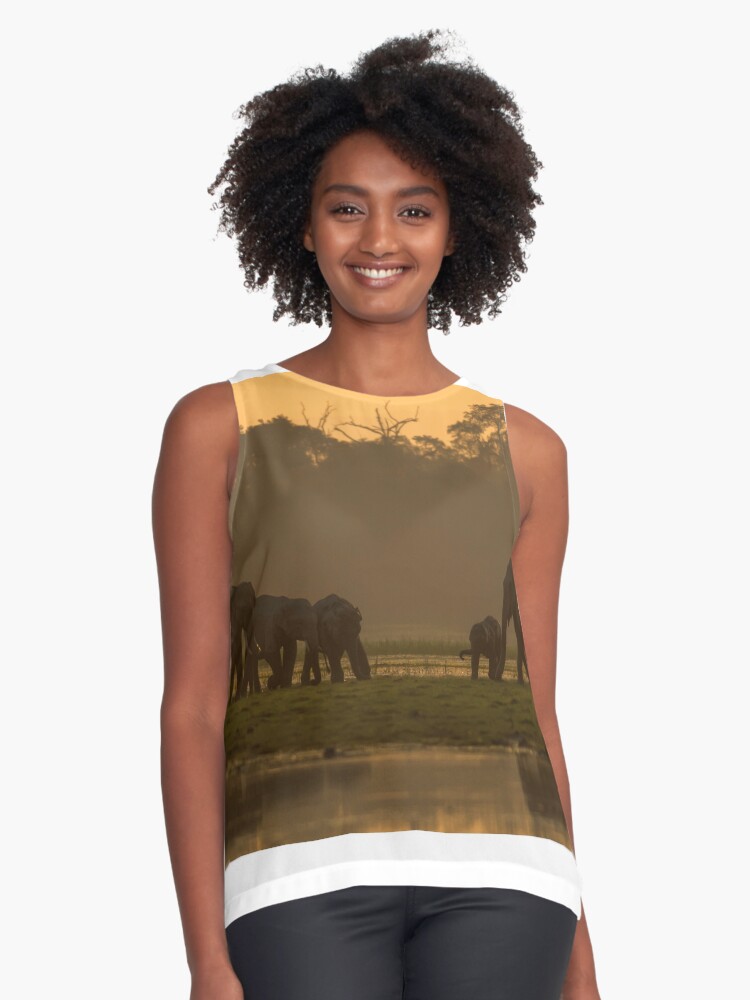 Thumbnail 1 of 6, Sleeveless Top, Elephants in the Dusk designed and sold by Puttaswamy Ravishankar.
