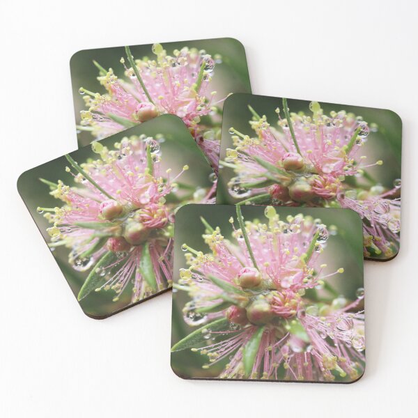 Item preview, Light Pink Callistemon designed and sold by Lauren Elizabeth Photograhy AU.