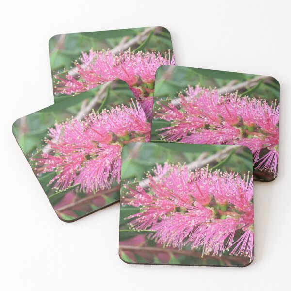 Item preview, Vivid Pink Callistemon designed and sold by Lauren Elizabeth Photograhy AU.