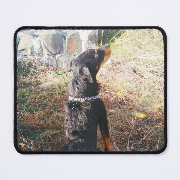 Item preview, hunt terrier howling because of loneliness  designed and sold by helenkaiy.