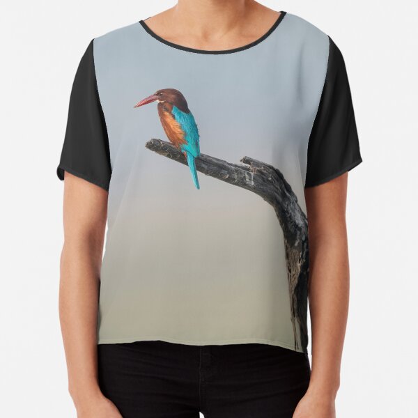Chiffon Top