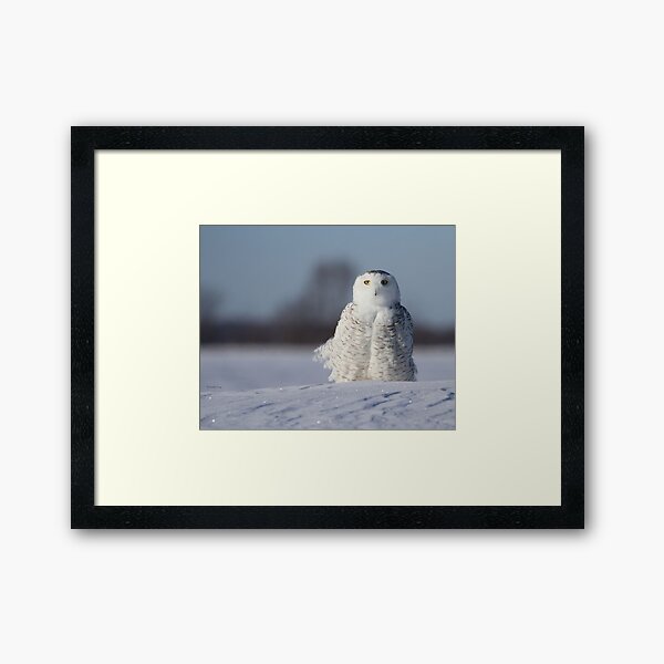 Saint Snowy Framed Art Print