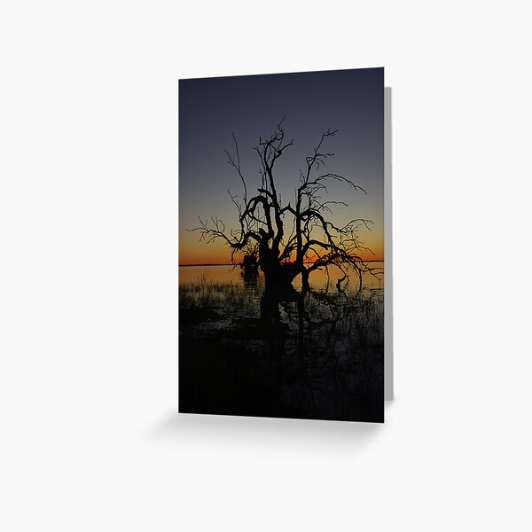Coongie Lakes sunset Greeting Card