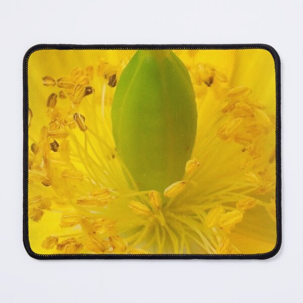 Item preview, Yellow Celandine Poppy Closeup designed and sold by angel1.