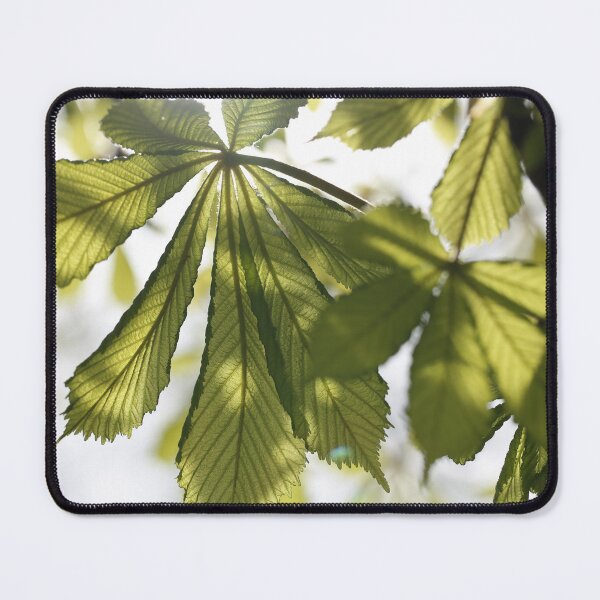 Item preview, European horse-chestnut leaves in the sun designed and sold by AnnaKT.