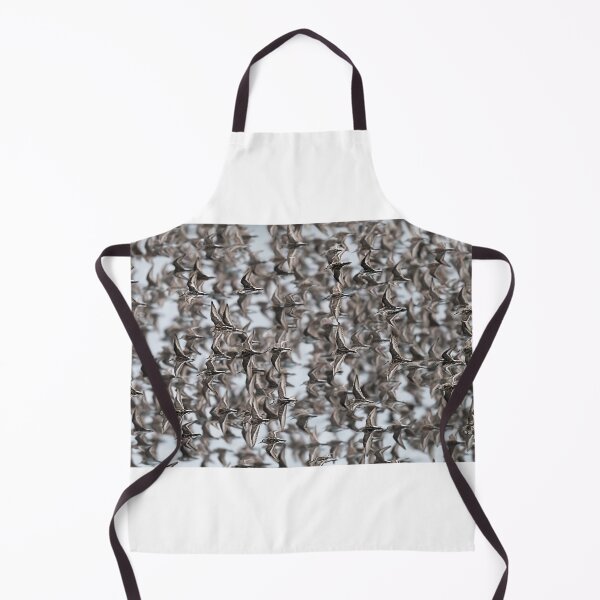 Item preview, Feathered Symphony designed and sold by Puttaswamy Ravishankar.