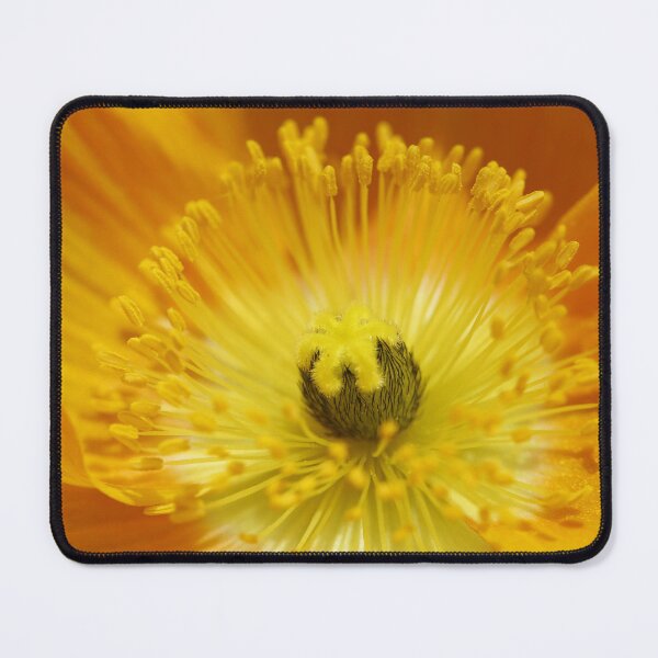 Item preview, Close-up of yellow poppy designed and sold by AnnaKT.
