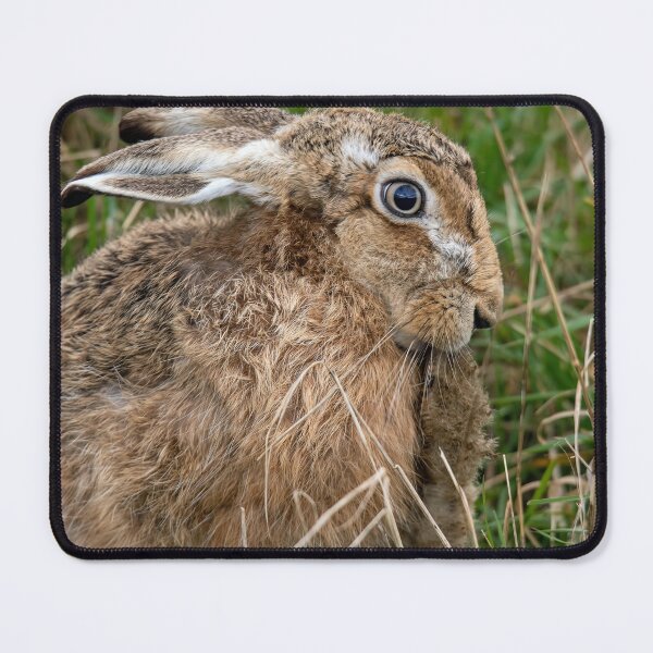 Item preview, Brown Hare designed and sold by Mart R Porter Nature.