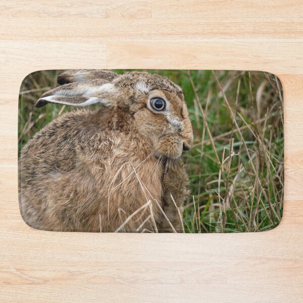Item preview, Brown Hare designed and sold by Mart R Porter Nature.