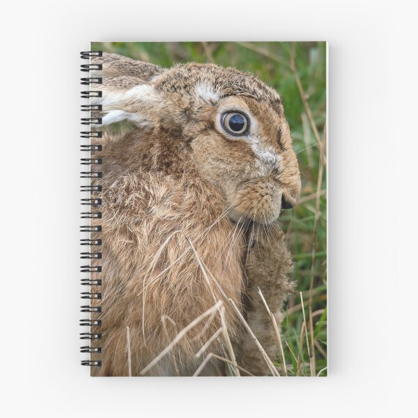 Item preview, Brown Hare designed and sold by Mart R Porter Nature.
