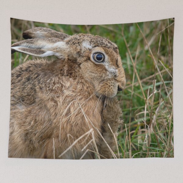Item preview, Brown Hare designed and sold by Mart R Porter Nature.