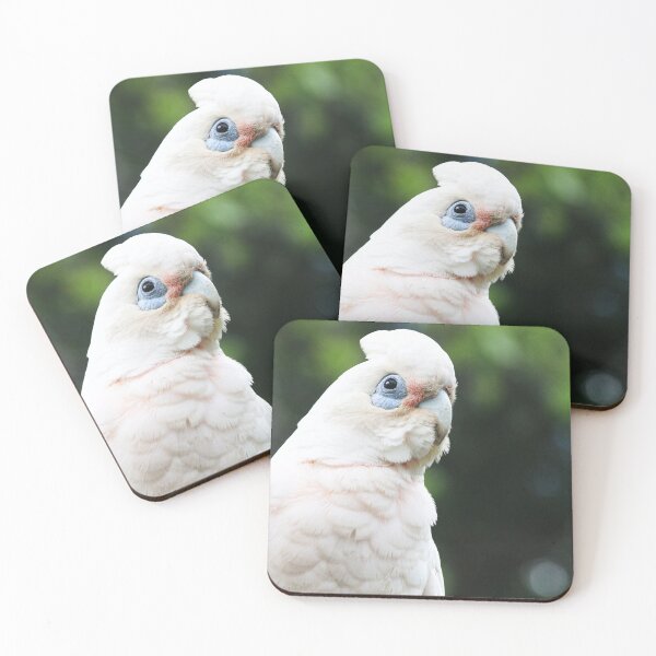 Item preview, Cheeky Little Corella 2 designed and sold by Lauren Elizabeth Photograhy AU.